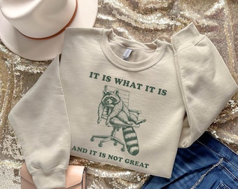 It Is What It Is Sweater, Mental Health Shirt, Meme Sweatshirt, Funny Raccoon Shirt, It Is What It Is and It Is Not Great, Trash Panda Shirt