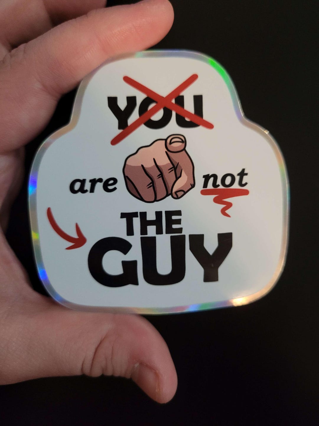 You Are Not the Guy Breaking Bad Funny Sticker, 2.5