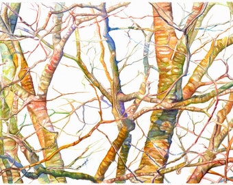 Maine trees, Archival giclee print from Original Watercolor Painting--Branches in Maine (Spring) watercolor art, trees, nature