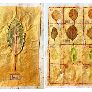 3 Greeting cards, blank with envelopes, pick any 3 images, handmade, luxurious paper 6 X 8 in frameable