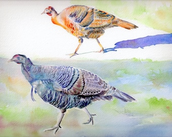 Turkey painting, giclee archival  print from original watercolor, "WILD TURKEYS" watercolor painting, nature, Maine, birds, Thanksgiving