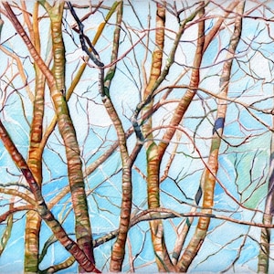 Art Painting print from Original Watercolor Painting--Branches in Maine (spring) 3--Landscape Nature