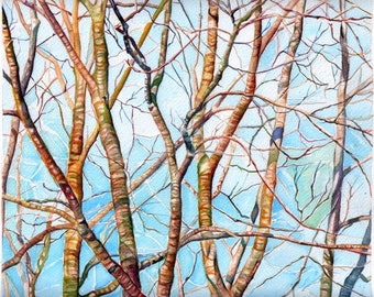 Art Painting print from Original Watercolor Painting--Branches in Maine (spring) 3--Landscape Nature