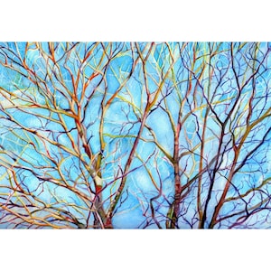 Watercolor landscape painting, Art Print from Original Watercolor trees Painting--Branches in Maine  2--Landscape Nature, trees