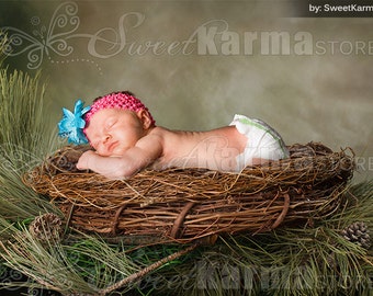 Evergreen Nest Digital Prop Photoshop PSD FILE 464