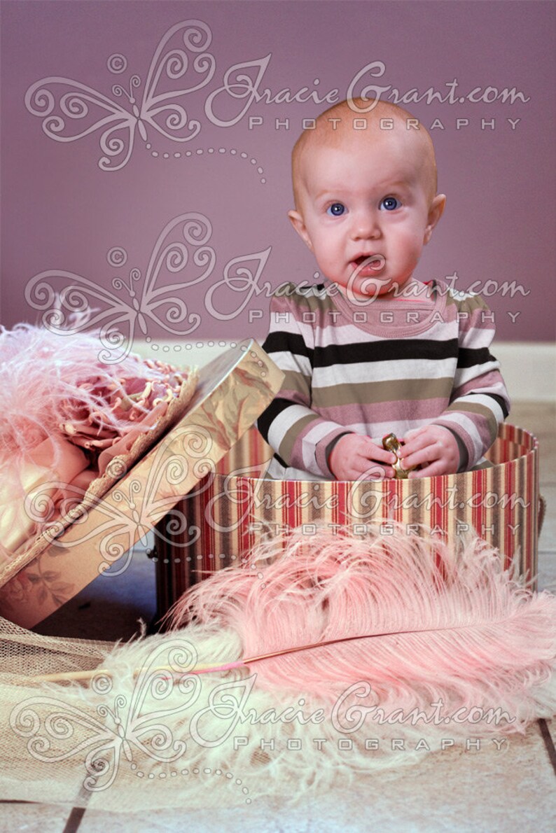 Vintage Hat Box for Newborn or Girl Child Digital Photography Prop FILE