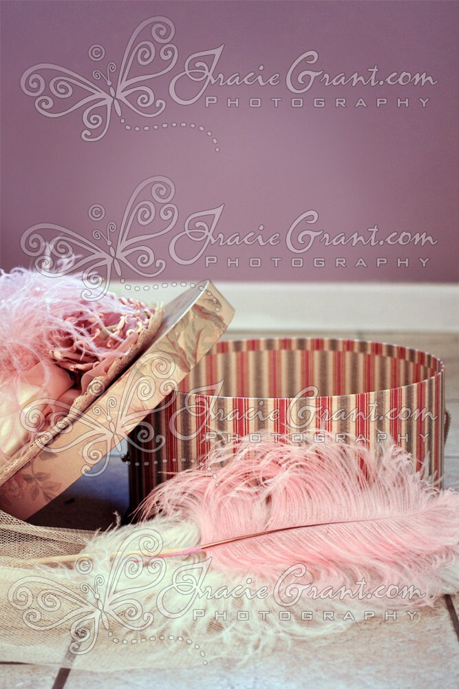 Vintage Hat Box for Newborn or Girl Child Digital Photography Prop FILE