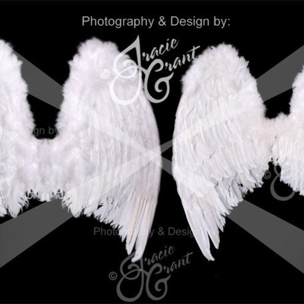 Angel Wings Digital Photography Prop EDITABLE PSD FILE 9997