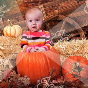 Fall Pumkin Cart Photoshop Digital Prop Editable PSD File