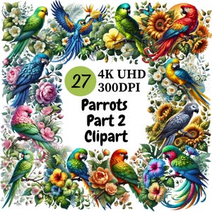 Parrots Clipart (P2) - 27 PNG, Bright and Colorful Tropical Birds, Exotic and Playful Parrot Illustrations, Unlimited Commercial Use