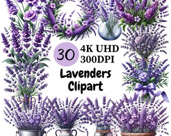 Clipart de flores de lavanda: 30 diseños florales morados PNG (descarga digital)