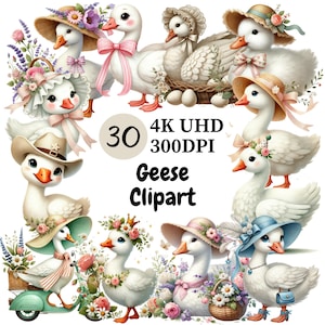 Geese Clipart - 30 PNG Cute and Charming Farmhouse Goose Illustration, Country and Nature Themed, Unlimited Commercial Use, Digital Download