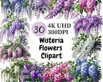 Wisteria Flowers Clipart  - 30 PNG, Cascading and Graceful Wisteria Blooms, Perfect for Dreamy and Enchanting Designs, Digital Download