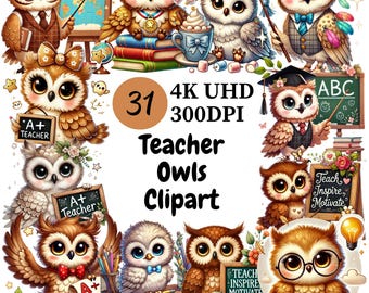 Lehrer Eulen Clipart: 31 PNG Illustrationen (Digitaler Download)