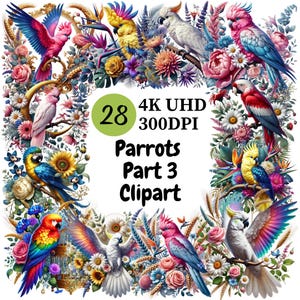 Parrots Clipart (P3) - 28 PNG, Bright and Colorful Tropical Birds, Exotic and Playful Parrot Illustrations, Unlimited Commercial Use