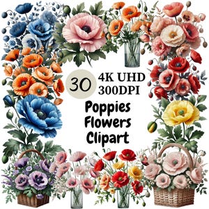 Poppies Flowers Clipart - 30 PNG, Beautiful and Bold Poppy Blooms, Perfect for Creative Designs, Unlimited Commercial Use, Digital Download
