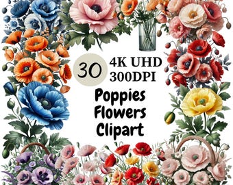 Clipart klaproos: 30 vette png-afbeeldingen (digitale download)