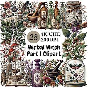 Clipart de bruxa de ervas (P1) - 28 PNG, ervas mágicas, elementos de bruxa, garrafas vintage, remédios de ervas, uso comercial ilimitado