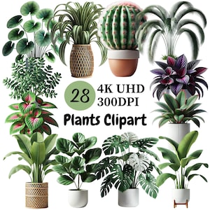 Plantas Clipart - 28 PNG, Coleção Diversificada de Vegetação Exuberante e Plantas de Casa, Ilustrações Botânicas Verdes, Uso Comercial Ilimitado