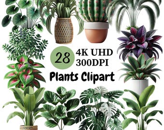 Houseplant Clipart: Lush Greenery Illustrations (28 PNG) Commercial Use