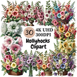 Hollyhocks Clipart - 30 PNG, Beautiful and Colorful Hollyhock Flowers in Bloom Perfect for Nature and Elegance Projects, Digital Download