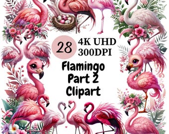Clipart roze flamingo: tropische png-afbeeldingen, commercieel gebruik