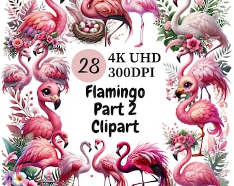 Clipart roze flamingo: 28 png-afbeeldingen tropische vogels (commercieel gebruik)