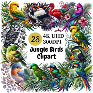 Clipart oiseaux de la jungle - 28 PNG, oiseaux tropicaux colorés et exotiques, inspirés de la faune et de la nature, usage Commercial illimité, téléchargement numérique