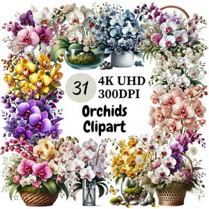 Orchids Clipart - 31 PNG, Elegant and Exquisite Orchid Flower Designs Featuring Beautiful Artistic Details, Unlimited Commercial Use