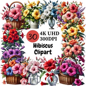 Vibrant Hibiscus Flower Clipart: Tropical PNG Graphics (Digital Download)