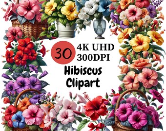 Vibrant Hibiscus Flower Clipart: Tropical PNG Graphics (Digital Download)
