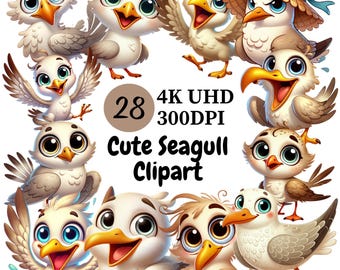 Niedliche Möwe Clipart - 28 PNG, niedliche Möwen Illustrationen mit Ozean Vibes, verspielte und majestätische Möwen Illustrationen