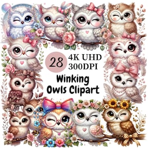 May include: A set of 28 digital clipart images featuring cute cartoon owls with winking eyes. The owls are depicted in various poses and with different accessories, such as flowers, bows, and glasses. The images are in 4K UHD resolution and 300 DPI.