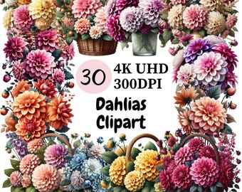 Dahlia Flowers Clipart: 30 PNG Floral Art Graphics (Digital Download)