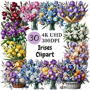 Irises Clipart - 30 PNG, Gorgeous and Colorful Iris Flowers in Full Bloom Featuring Elegant Petals and Bright Shades for Beautiful Creations