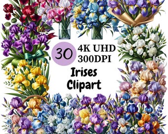 Irises Clipart: 30 PNG Flower Graphics (Digital Download)