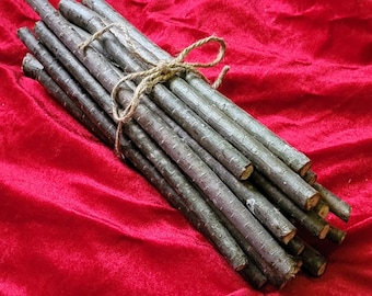 Fresh Eastern White Pine Branch Bundle. 25 Sticks