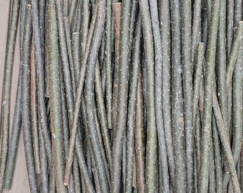 Eastern White Pine Branches. 80 Count Bulk Stick Box
