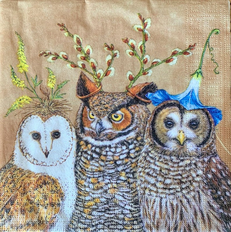 for Decoupage Decor #105-1 13 inches Decoupage Napkins 2 Single Paper Napkins Paper-Craft and Collage 33 cm