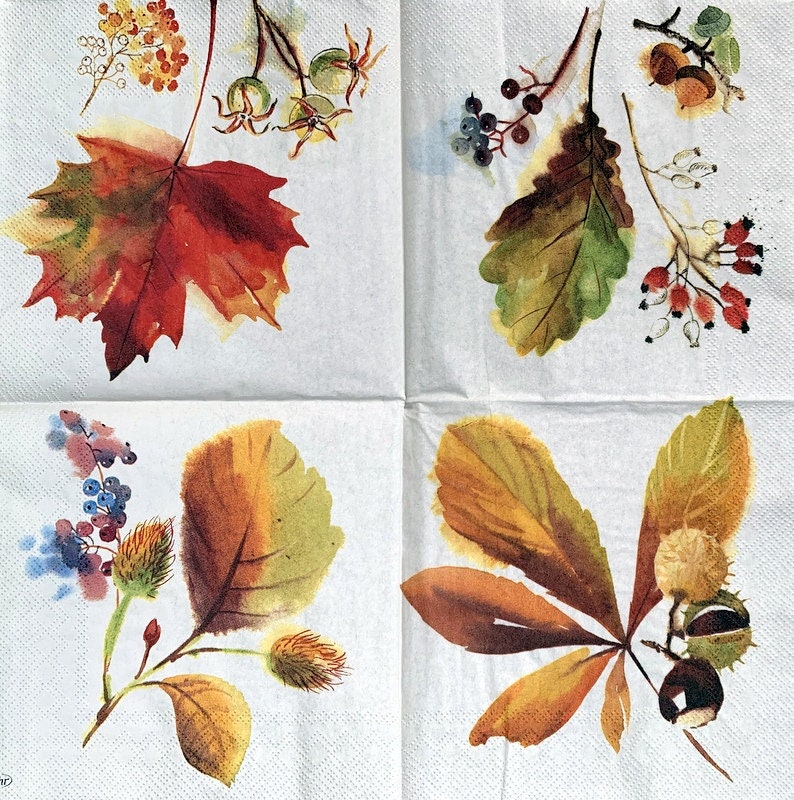 Decor #425-1 for Decoupage 33 cm 13 inches Decoupage Napkins Paper-Craft and Collage 2 Single Paper Napkins