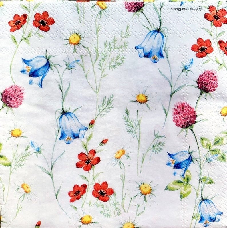Paper-Craft and Collage 2 Single Paper Napkins Decor #774 13 inches 33 cm Decoupage Napkins for Decoupage