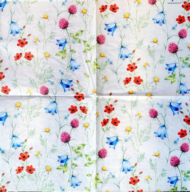 Paper-Craft and Collage 2 Single Paper Napkins Decor #774 13 inches 33 cm Decoupage Napkins for Decoupage