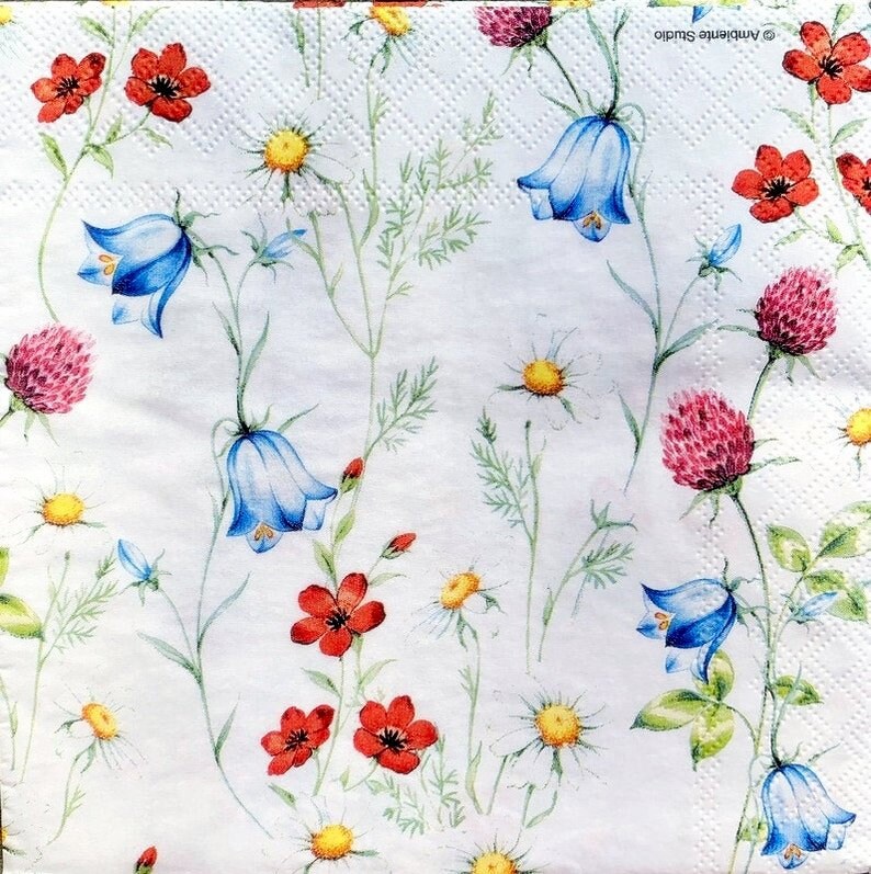 Paper-Craft and Collage 2 Single Paper Napkins Decor #774 13 inches 33 cm Decoupage Napkins for Decoupage