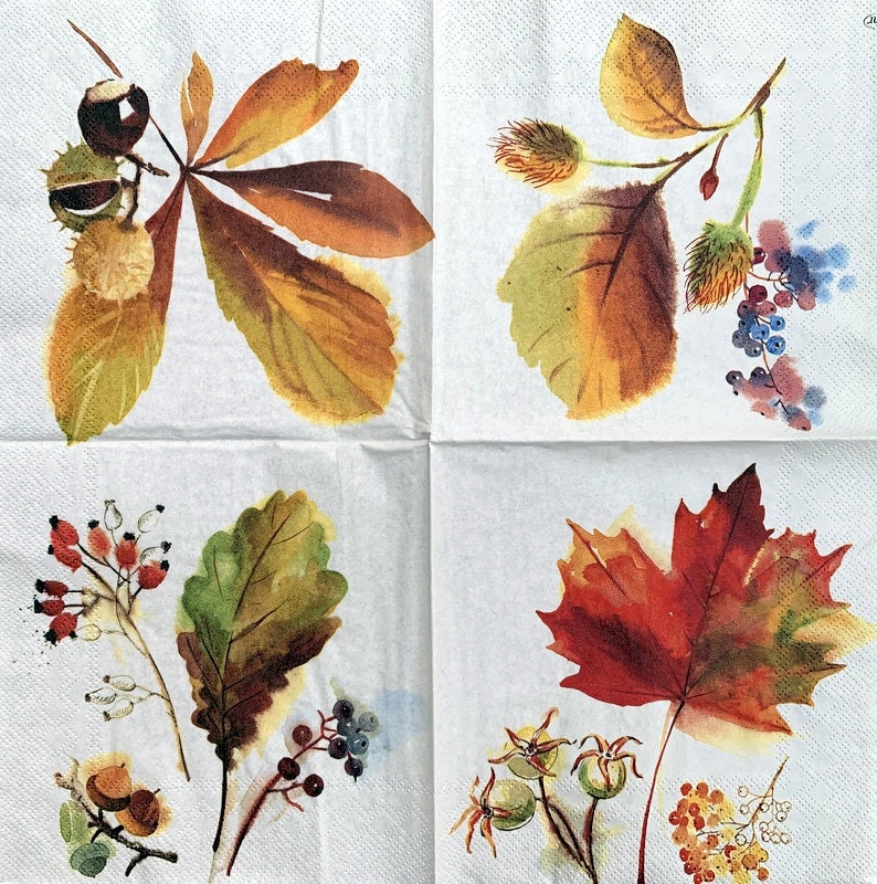 Decor #425-1 for Decoupage 33 cm 13 inches Decoupage Napkins Paper-Craft and Collage 2 Single Paper Napkins