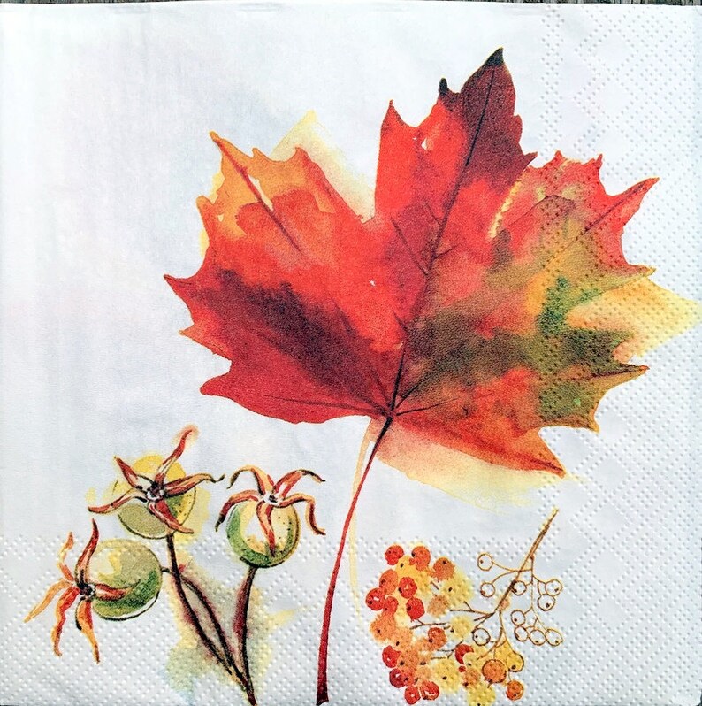 Decor #425-1 for Decoupage 33 cm 13 inches Decoupage Napkins Paper-Craft and Collage 2 Single Paper Napkins