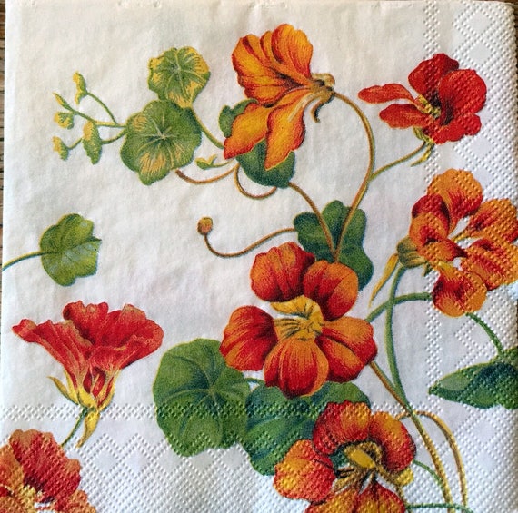 Individual Paper Decoupage Napkin Unique Creative Design Collection 291