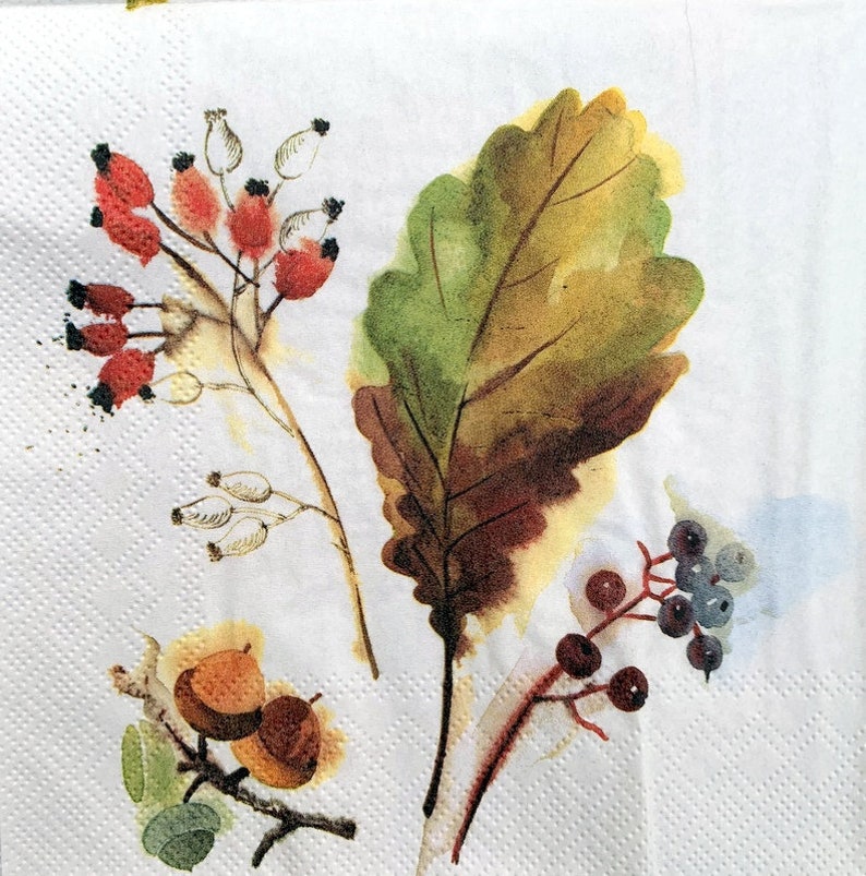 Decor #425-1 for Decoupage 33 cm 13 inches Decoupage Napkins Paper-Craft and Collage 2 Single Paper Napkins