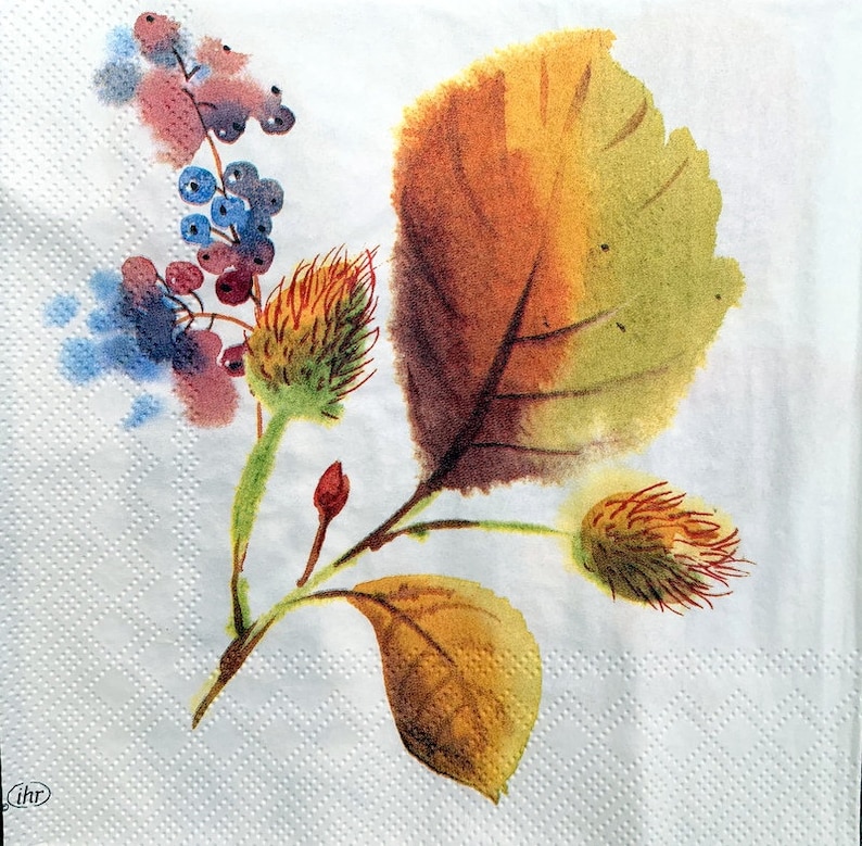 Decor #425-1 for Decoupage 33 cm 13 inches Decoupage Napkins Paper-Craft and Collage 2 Single Paper Napkins