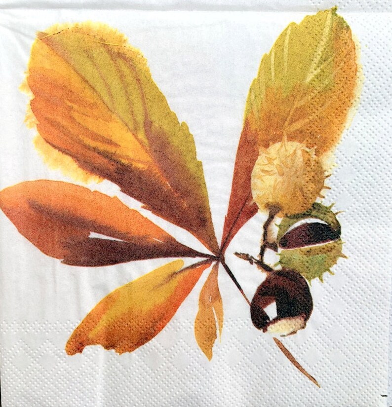 Decor #425-1 for Decoupage 33 cm 13 inches Decoupage Napkins Paper-Craft and Collage 2 Single Paper Napkins