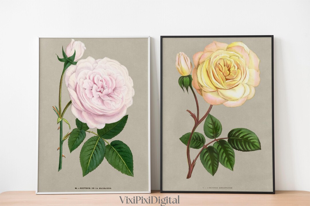 Vintage Rose Flower Poster Set: Botanical Gallery Wall Art (digital ...